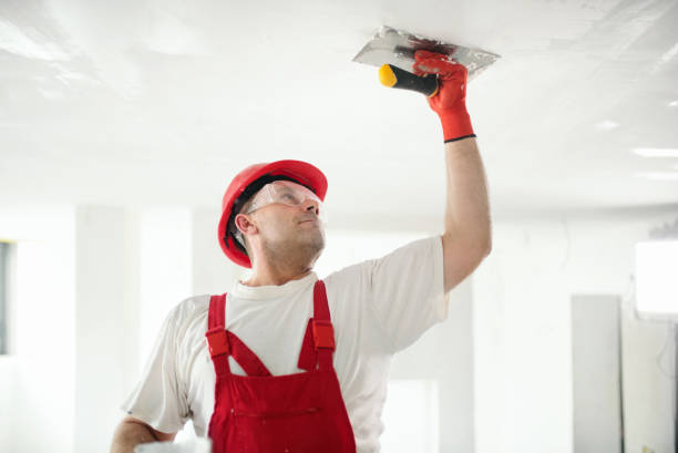 Best Fire-Damaged Drywall Repair  in Cross City, FL